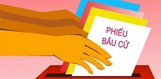 Phạm tội làm sai lệch kết quả bầu cử, có được hưởng án treo không ?
