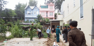 Tội không chấp hành án