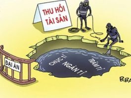Tịch thu tài sản được áp dụng khi nào ?