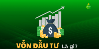vốn đầu tư