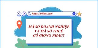 mã số doanh nghiệp