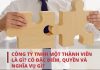 Công ty TNHH 1 thành viên là gì
