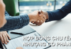 Hợp đồng chuyển nhượng cổ phần