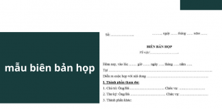 Mẫu biên bản cuộc họp
