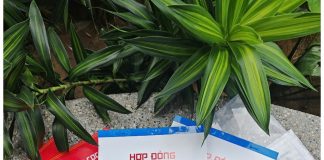 hợp đồng đặt cọc mua bán nhà đất